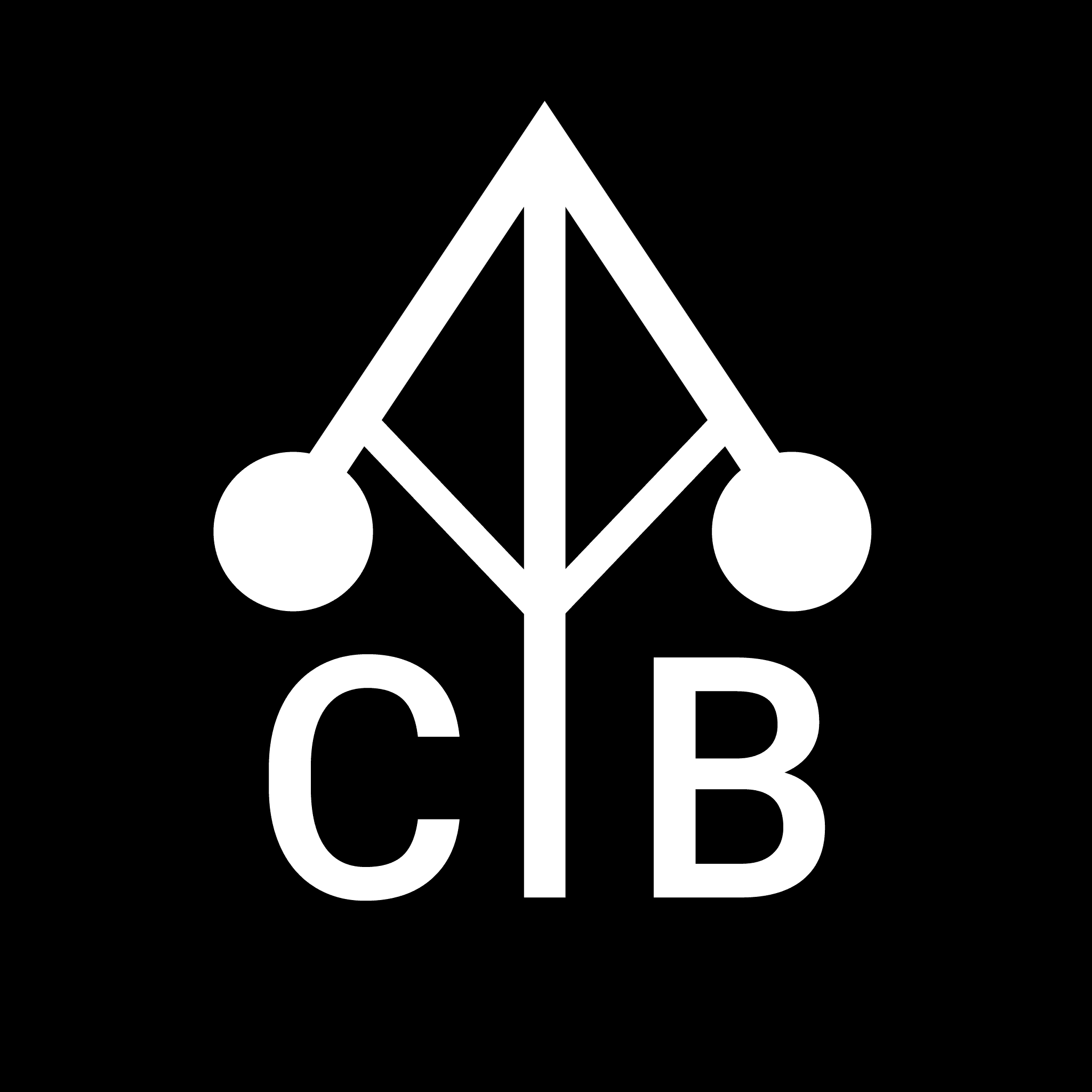 cyb logo